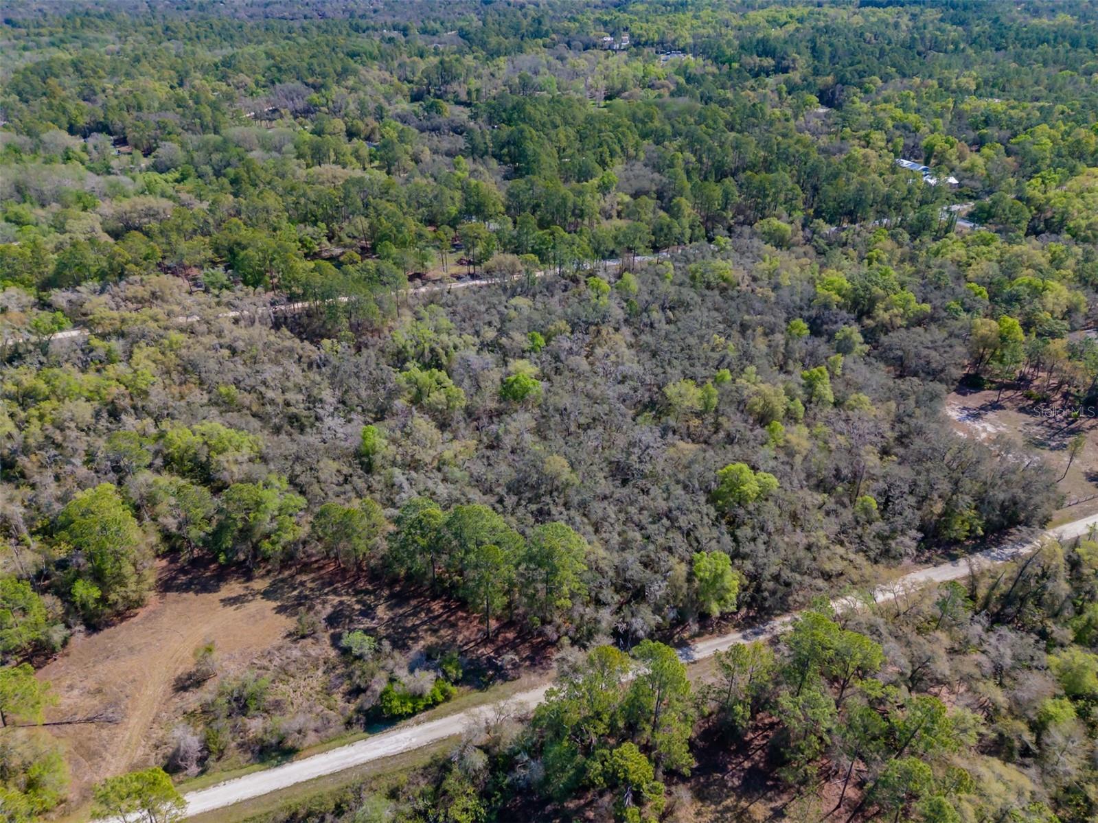 7262 Sonia Avenue, FL