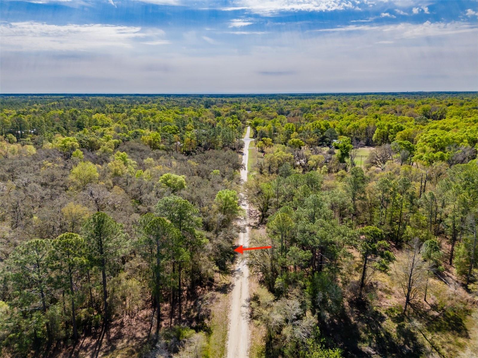 7262 Sonia Avenue, FL