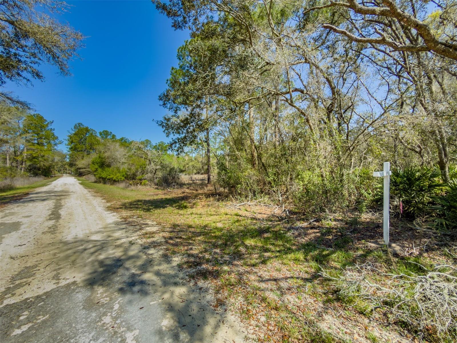 7262 Sonia Avenue, FL