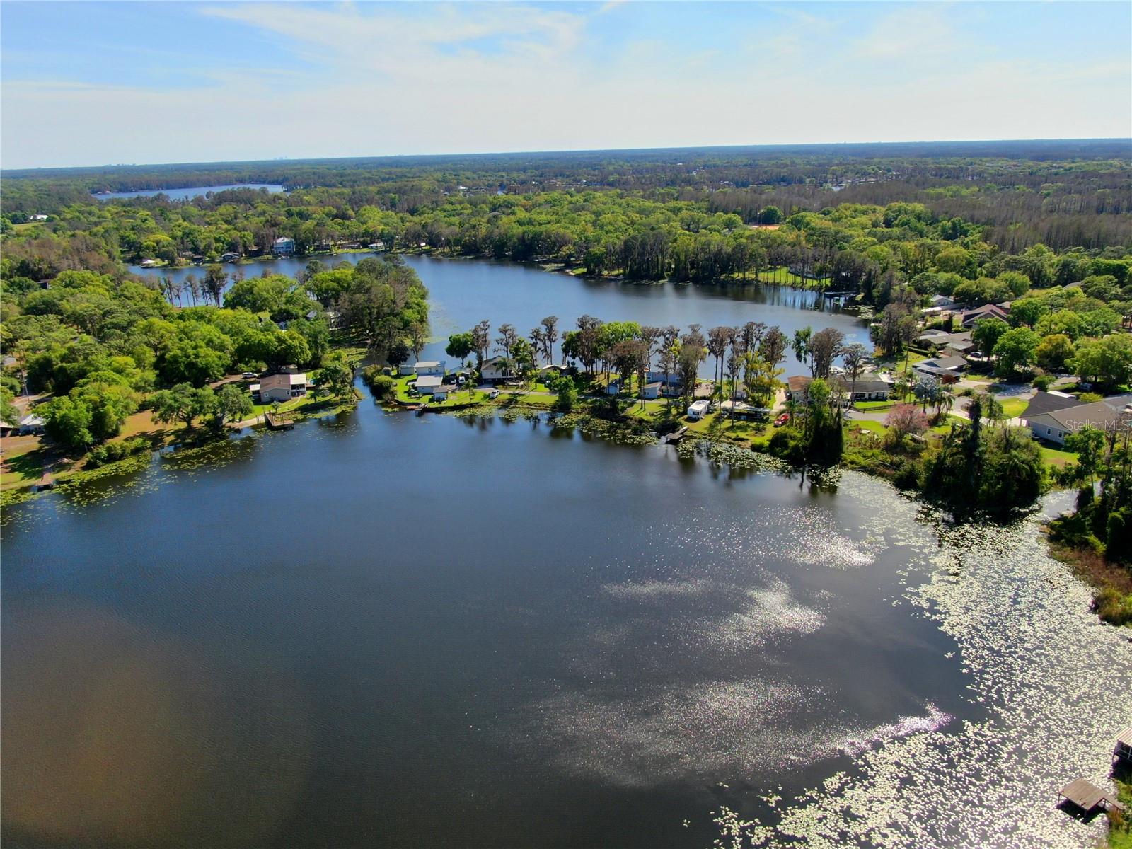 14618 Geneva Drive, FL