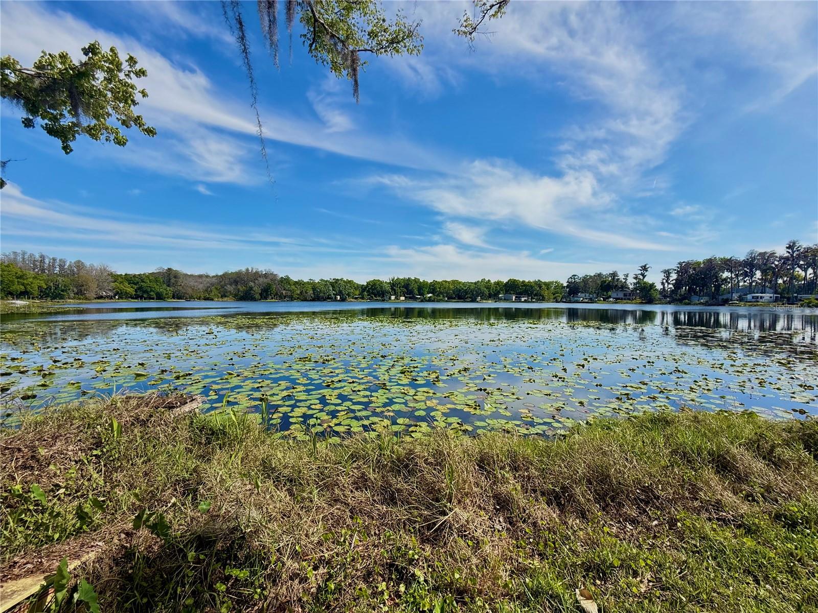 14618 Geneva Drive, FL