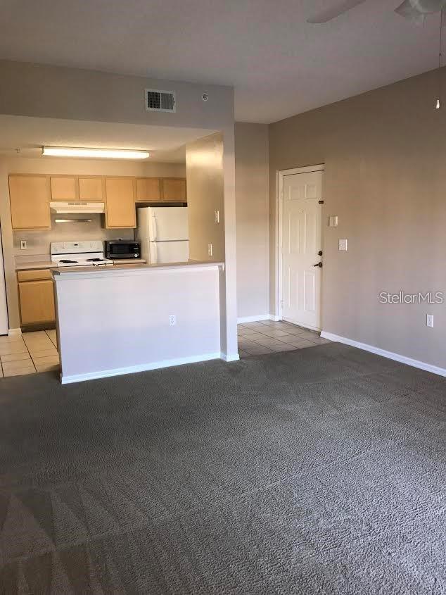 10831 Windsor Walk Drive, FL