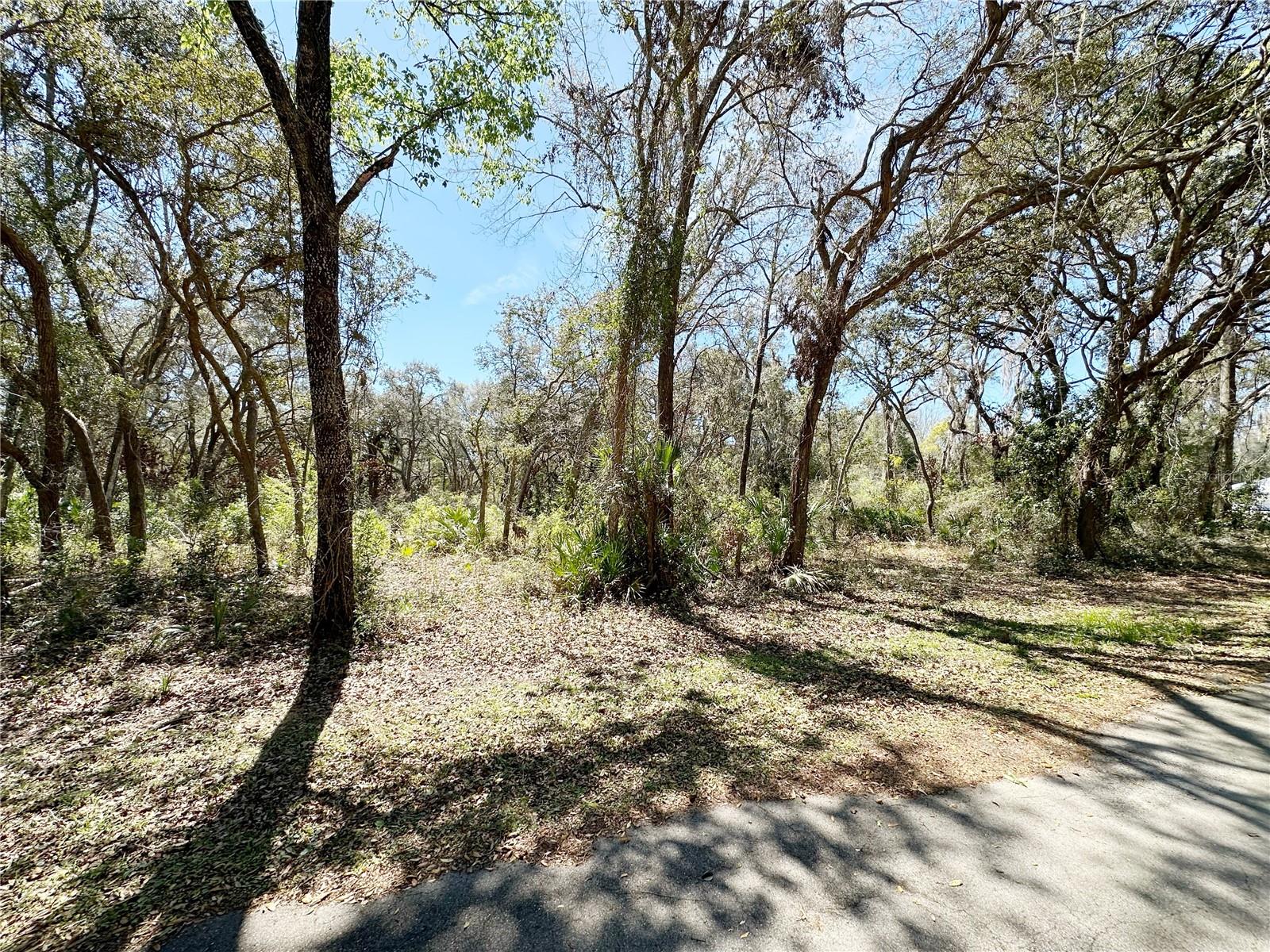 Tbd 110th Circle, Lot 3, FL