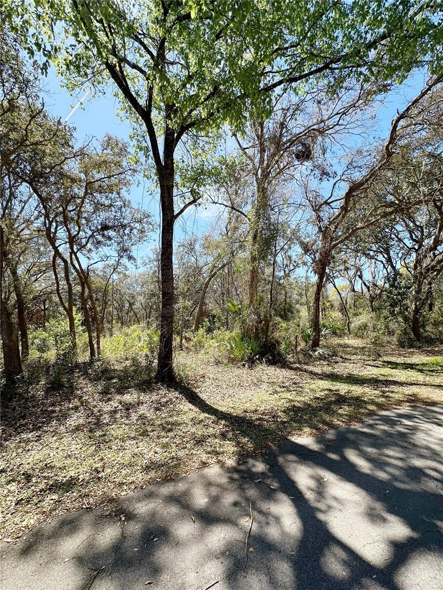 Tbd 110th Circle, Lot 3, FL