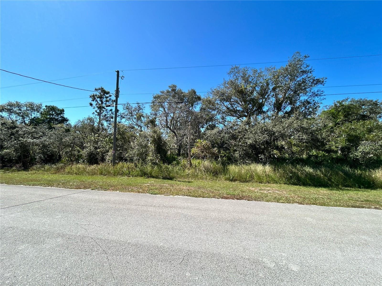 Woodstork Way, FL