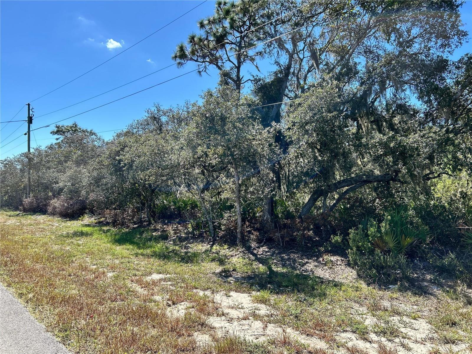 Woodstork Way, FL