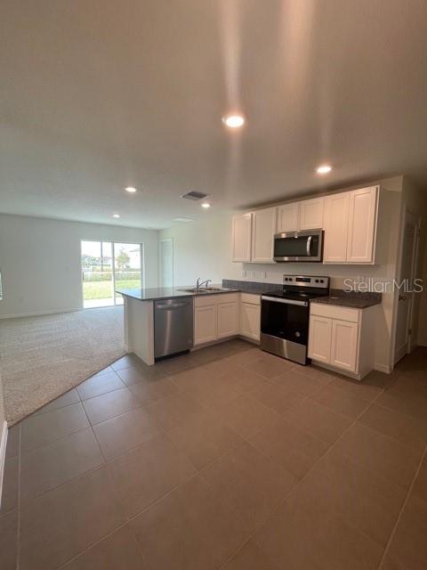 10231 Opaline Sky Court, FL
