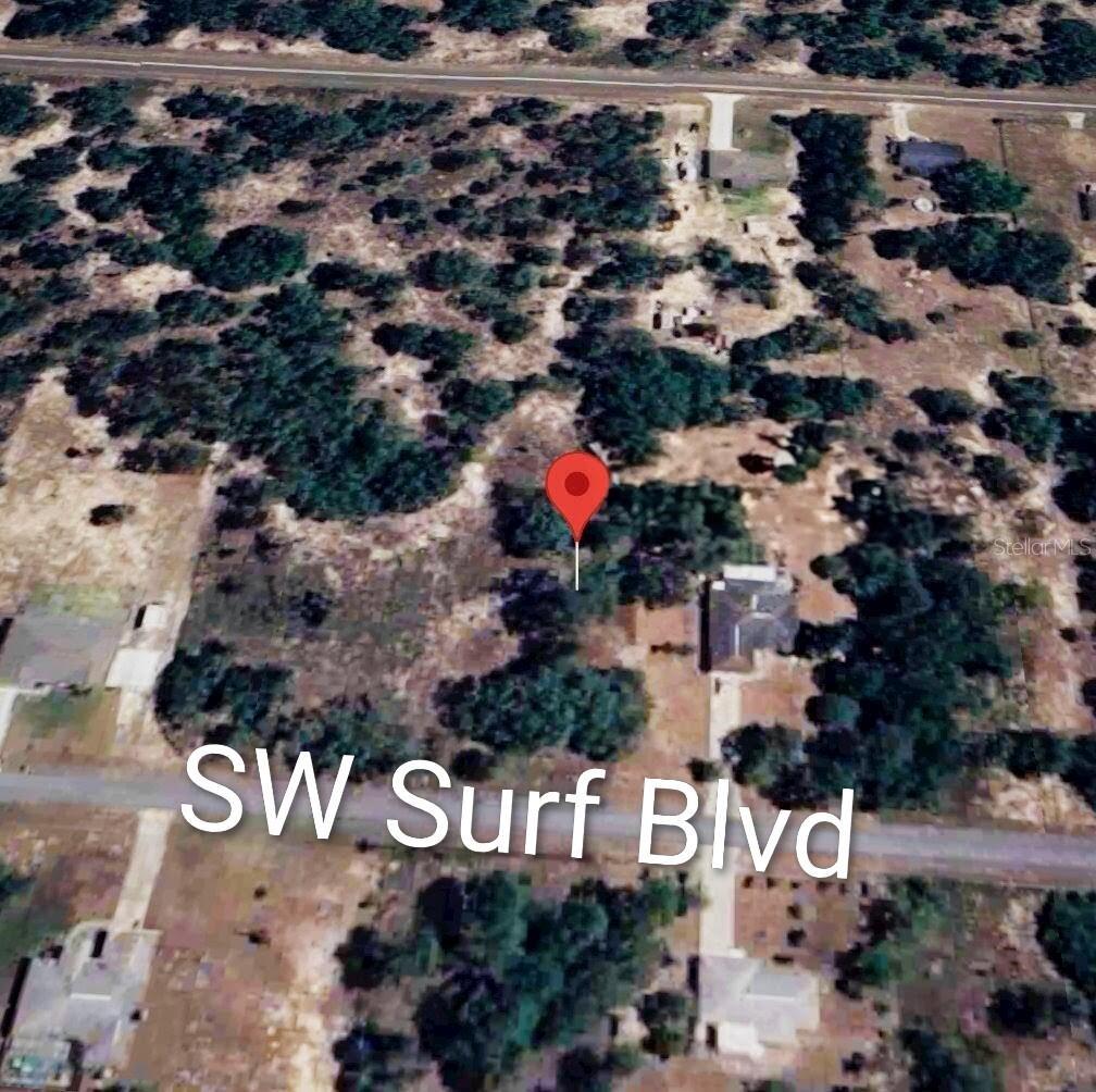 Surf Boulevard, FL