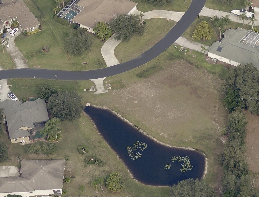 19915 Dolores Ann Court, FL