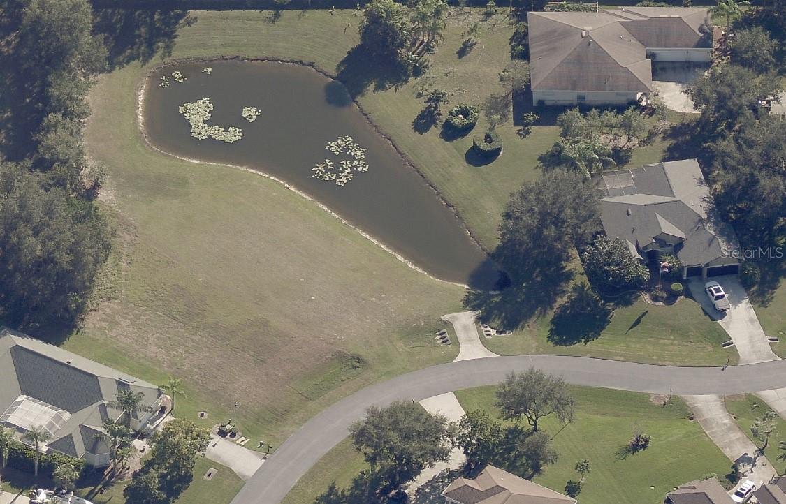 19915 Dolores Ann Court, FL
