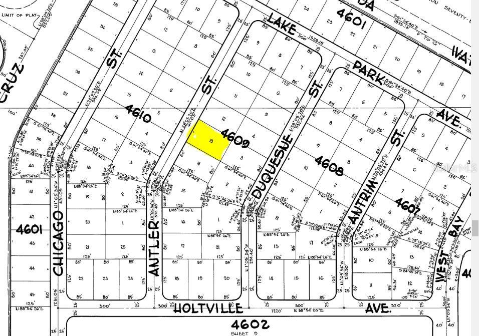 10008 Antler Street, FL