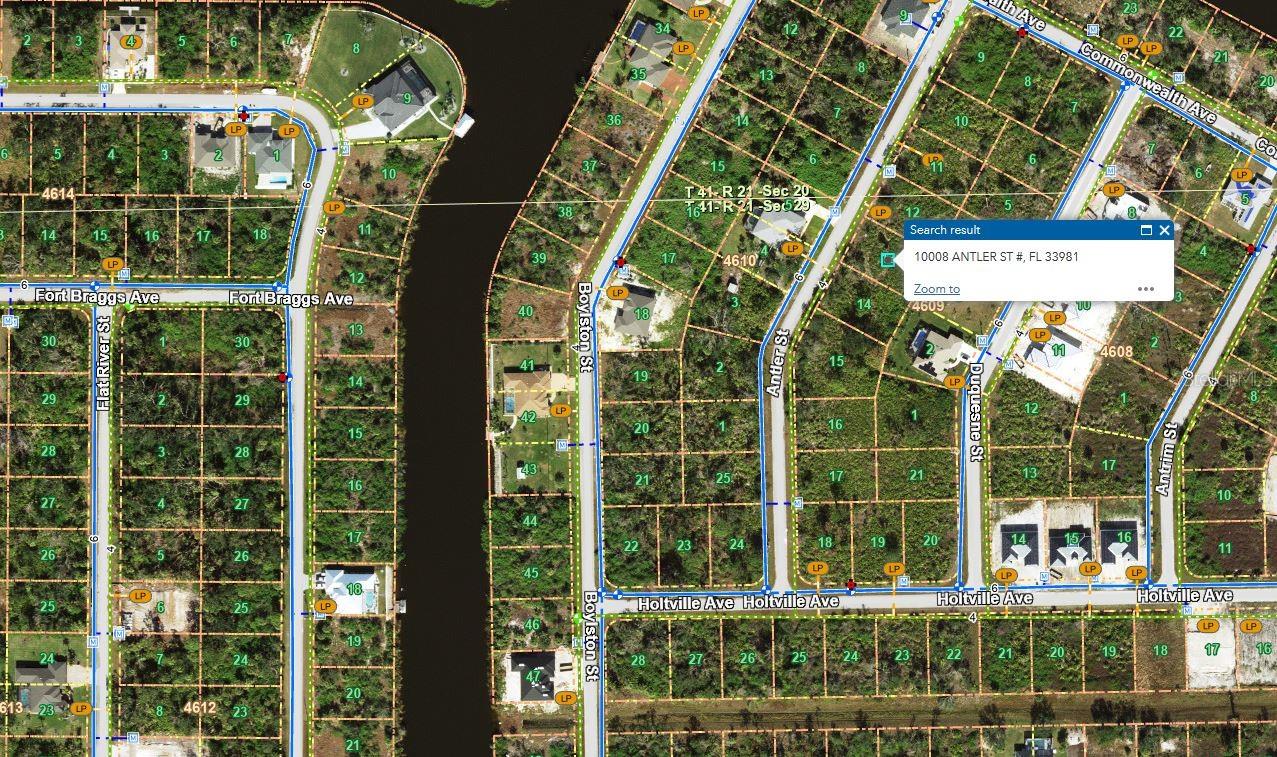 10008 Antler Street, FL