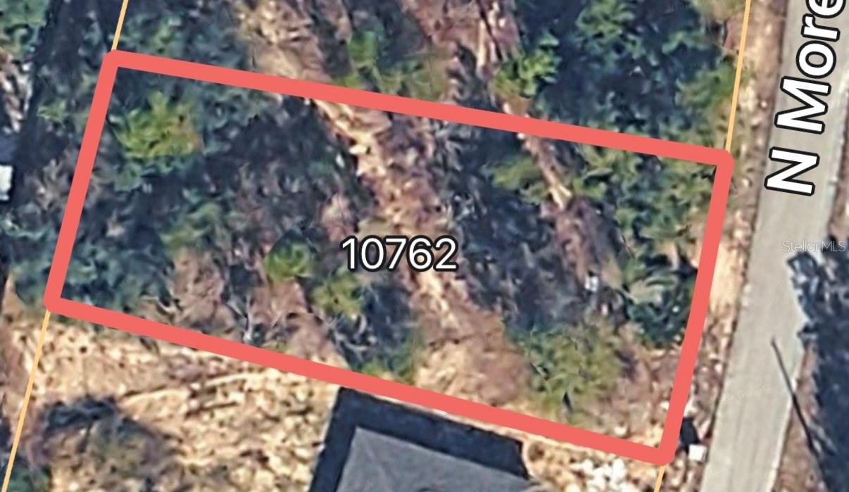 10762 Moreno Drive, FL