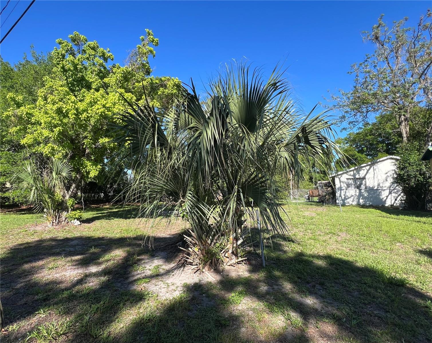 10105 16 Street, FL