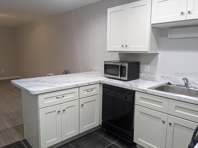165 Windtree Lane, FL