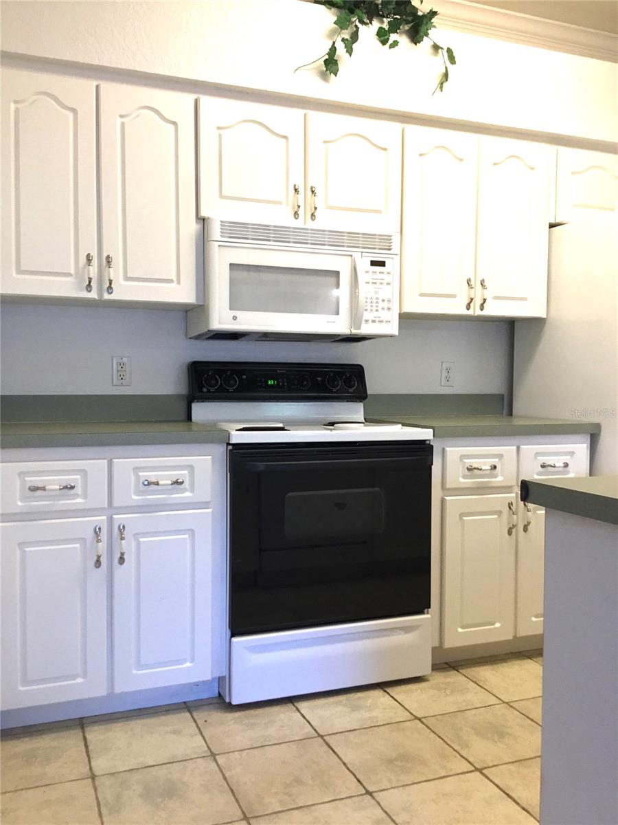 1101 Eagle Pond Drive, FL