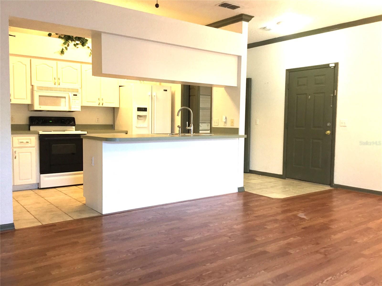 1101 Eagle Pond Drive, FL