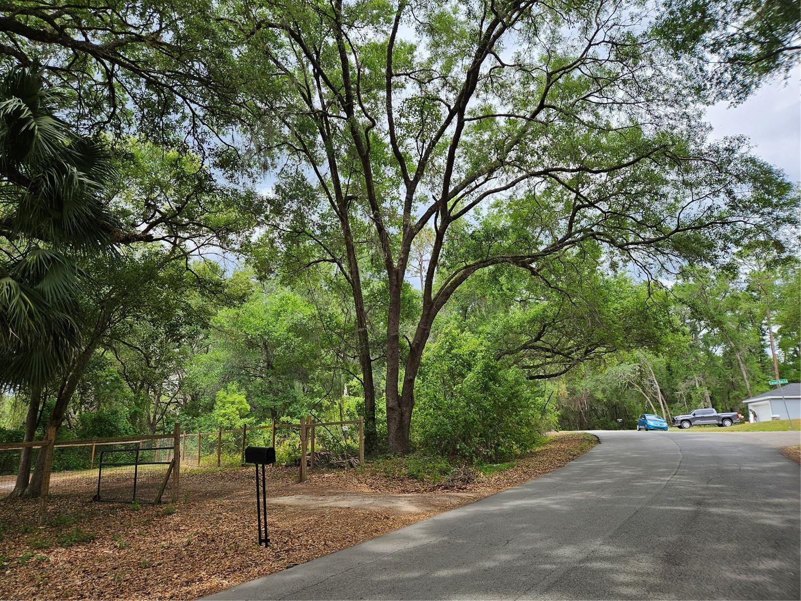 Lot 14 Locust Run Course, FL