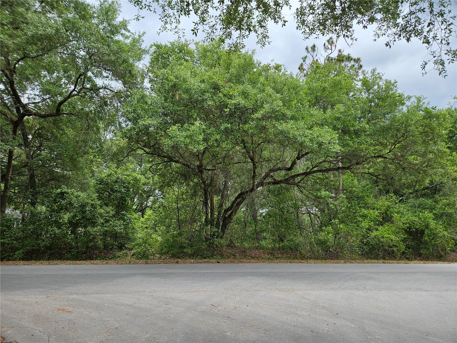 Lot 14 Locust Run Course, FL