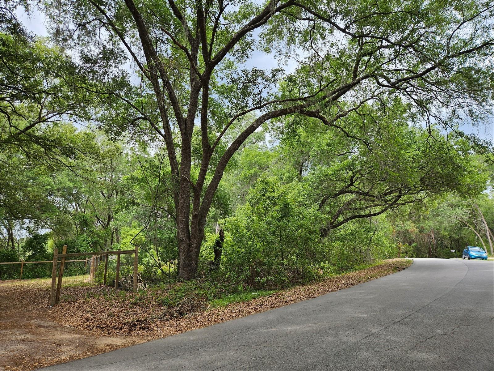 Lot 14 Locust Run Course, FL