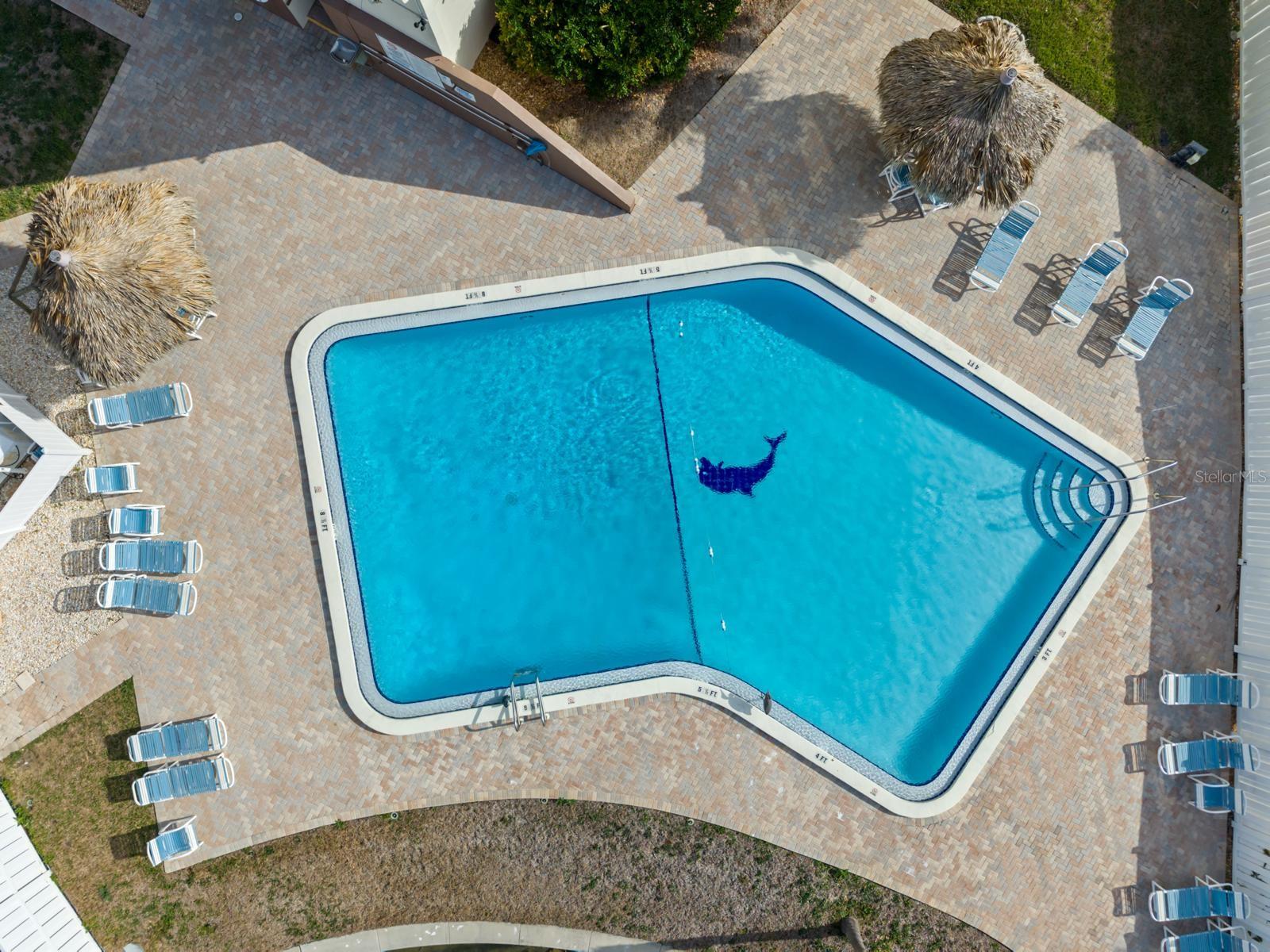 255 Dolphin Point, FL