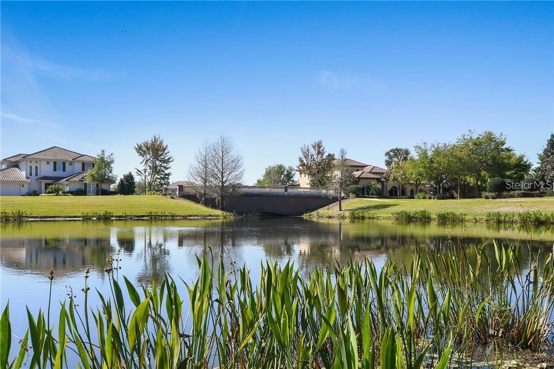 11419 Camden Park Drive, FL