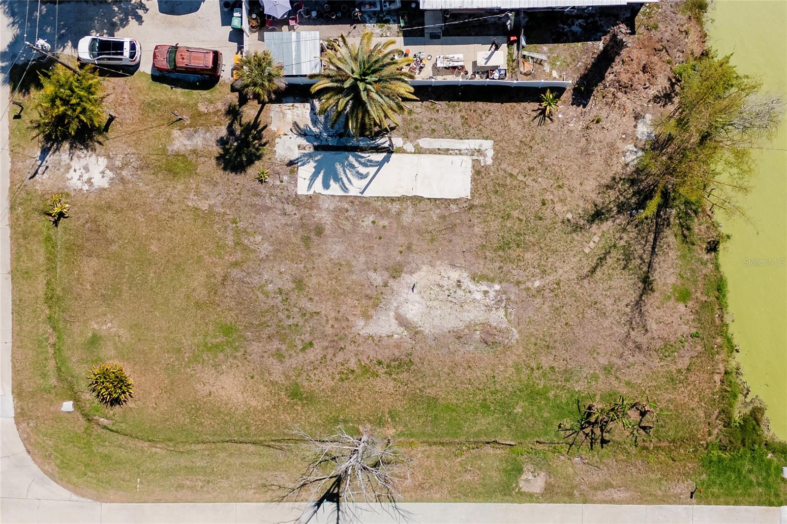 8195 Pine Tree Lane, FL