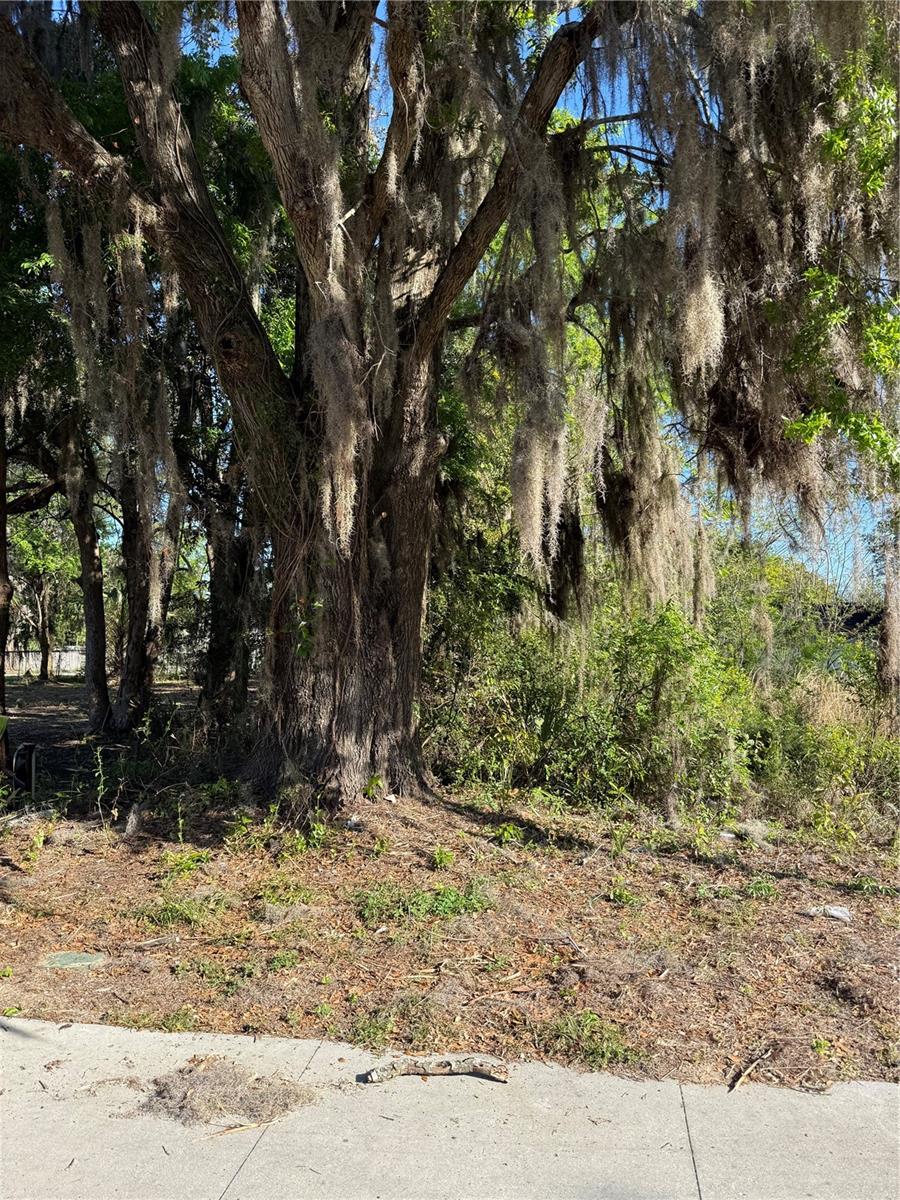 3rd Street, FL