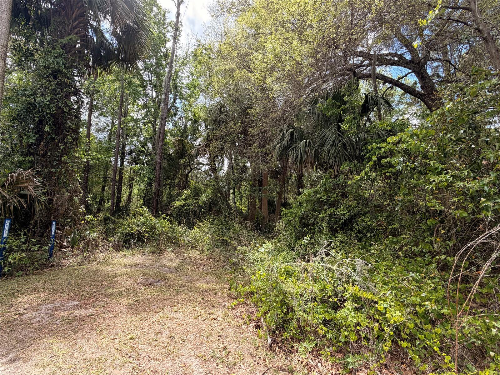 County Road 445a, FL