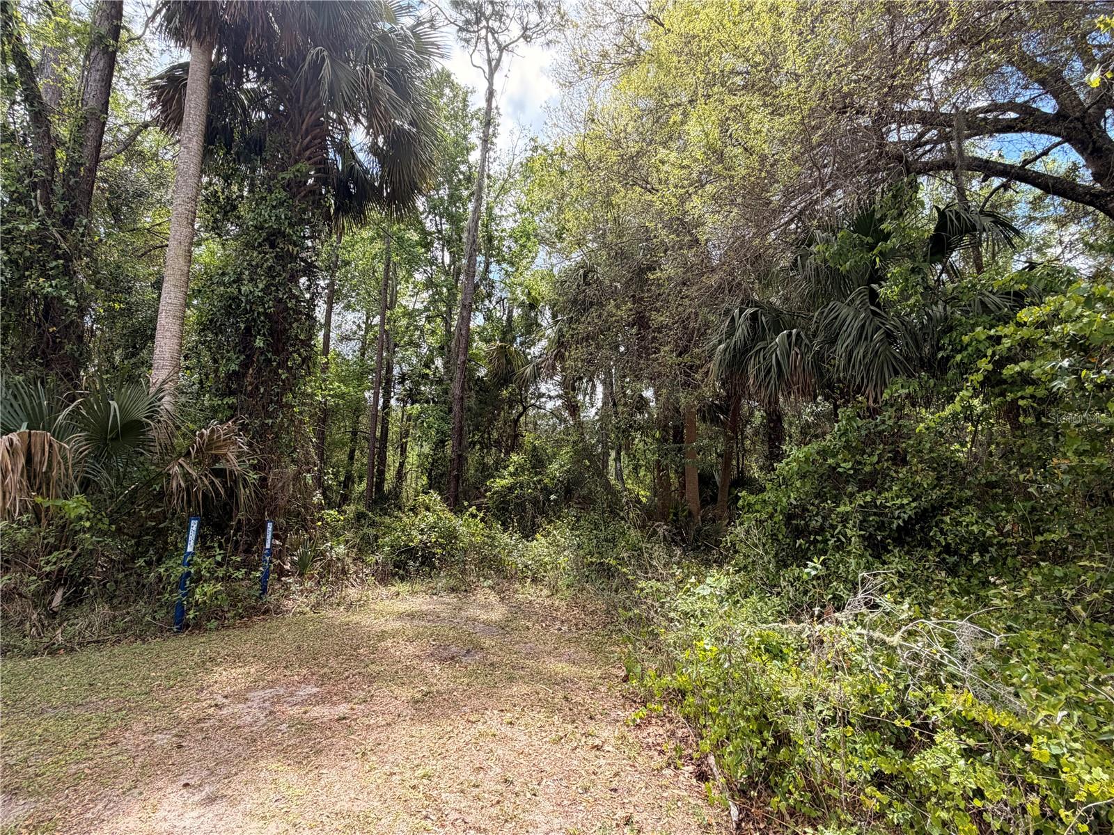 County Road 445a, FL
