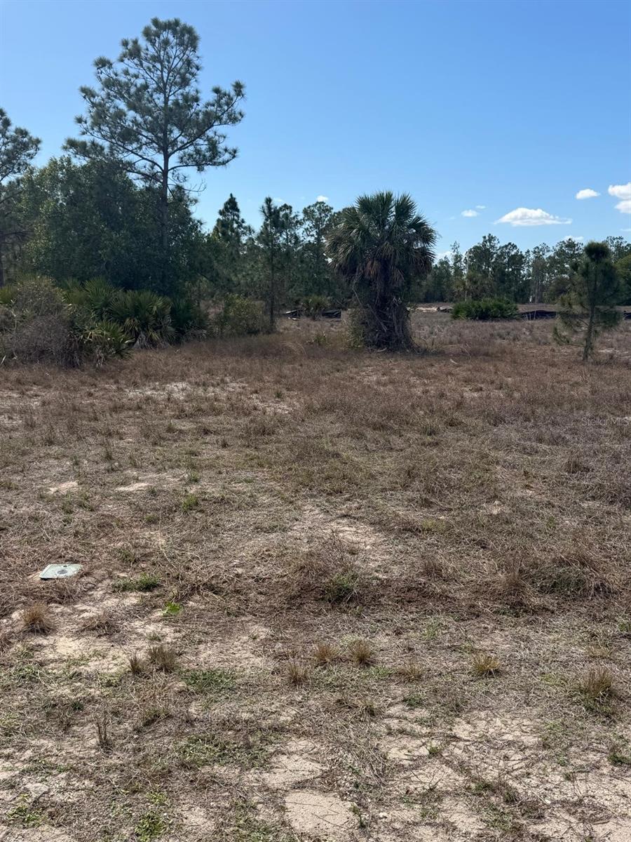 1511 Columbus Avenue, FL