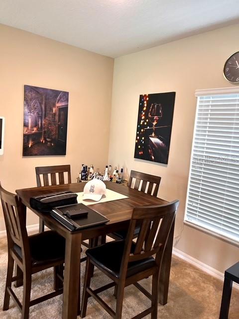 418 Blue Lake Circle, FL