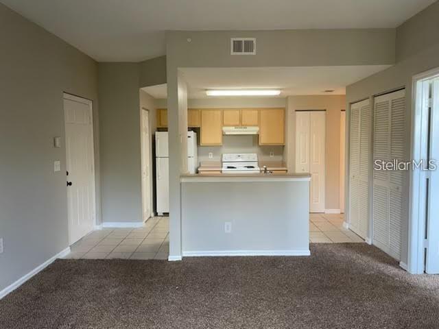 10831 Windsor Walk Drive, FL