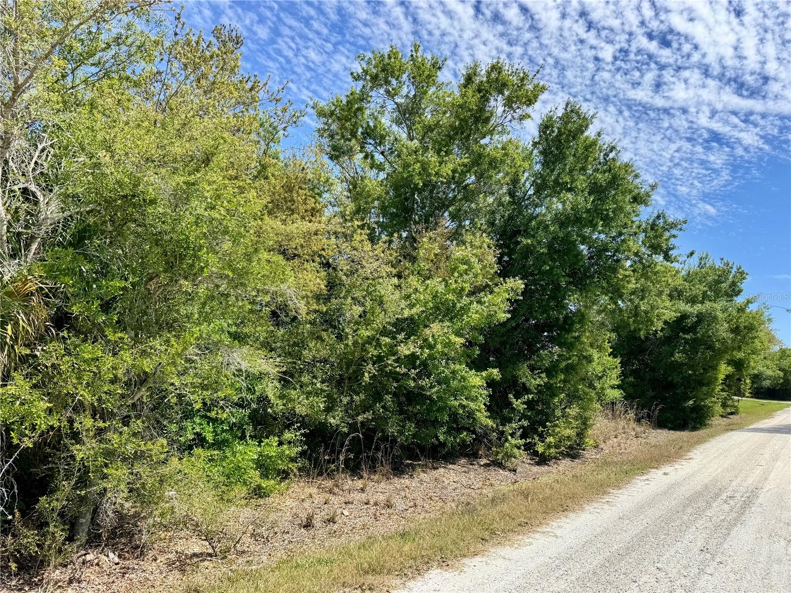 27054 Mingo Drive, FL