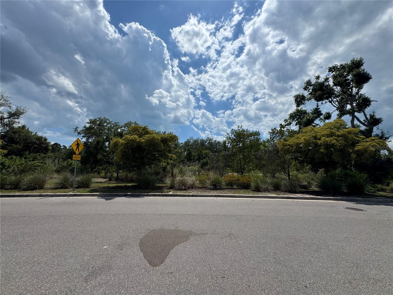8809 Milestone Drive, FL