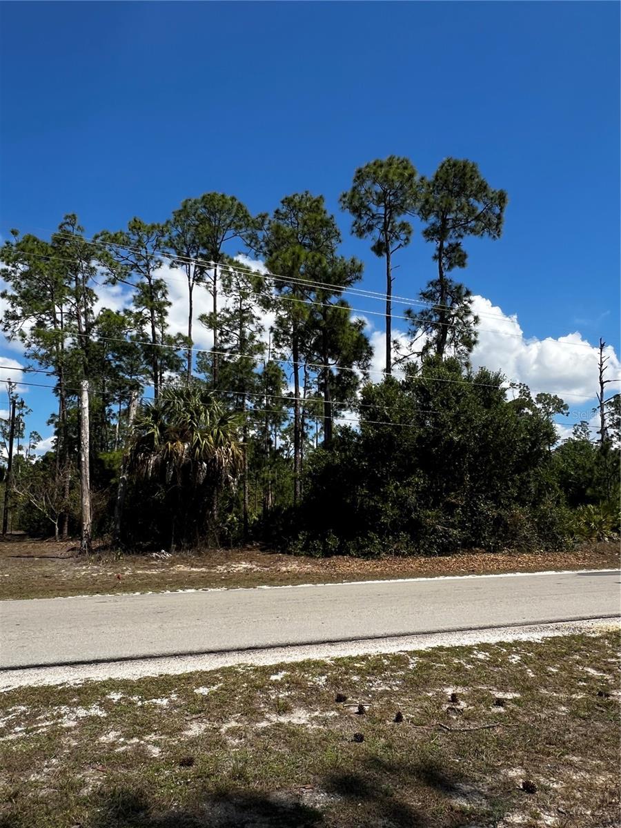 4105 10th Street, FL