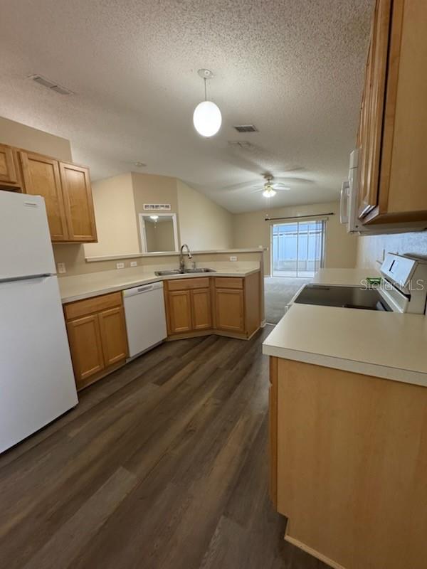 11706 Nimbus Lane, FL