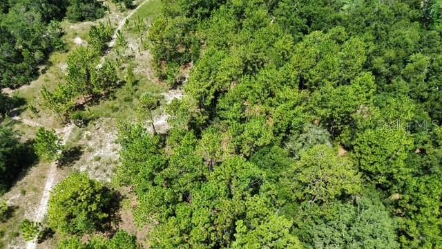 4026 Orange Blossom Trail, FL