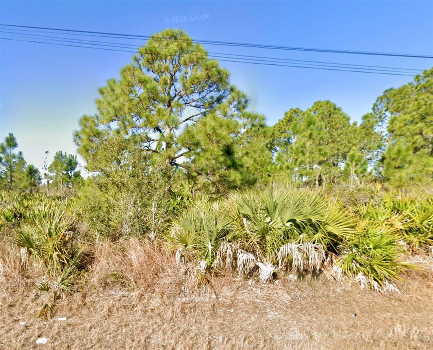 1019 Wagner Avenue, FL