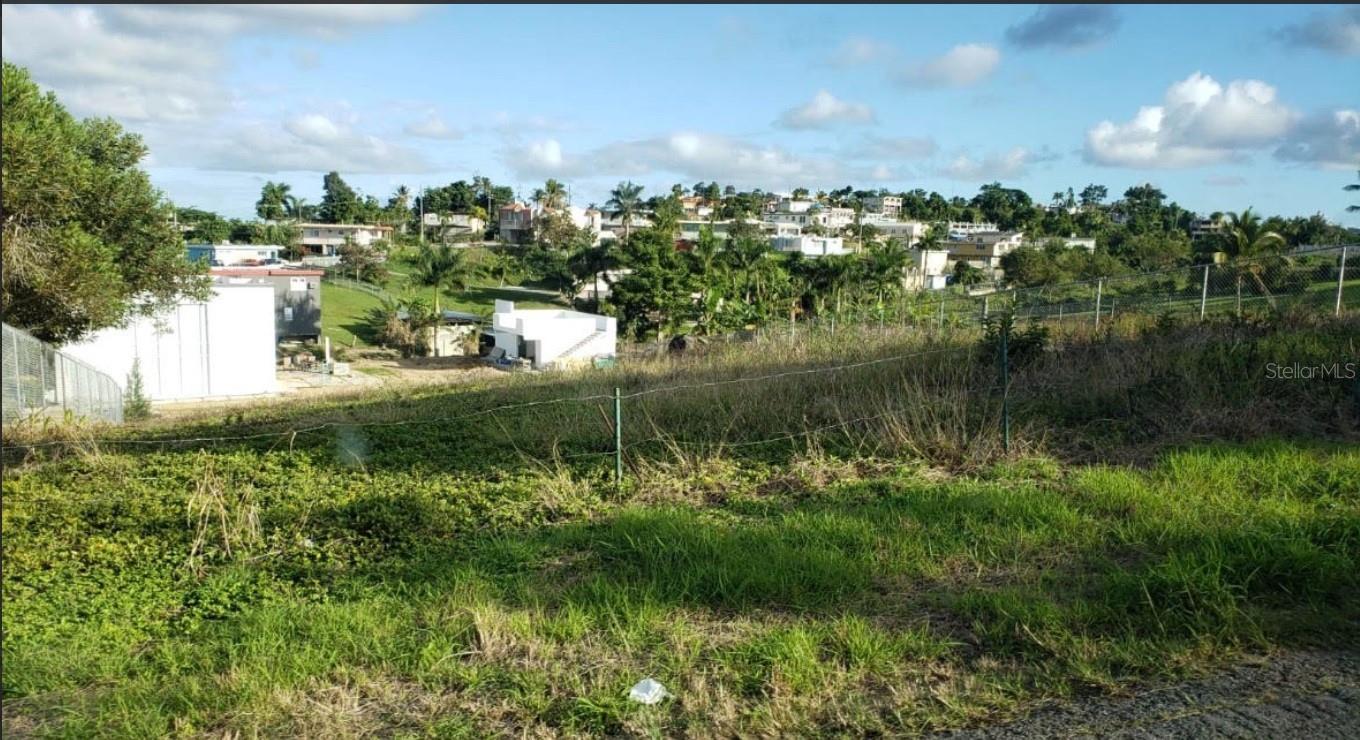 Pr-9929 Barrio Lirios, PR