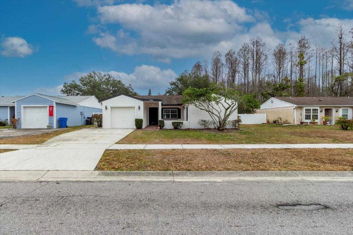 14003 Basin Street, FL