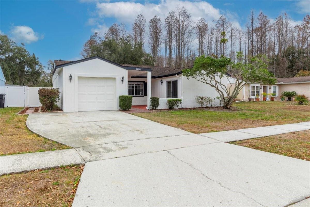 14003 Basin Street, FL
