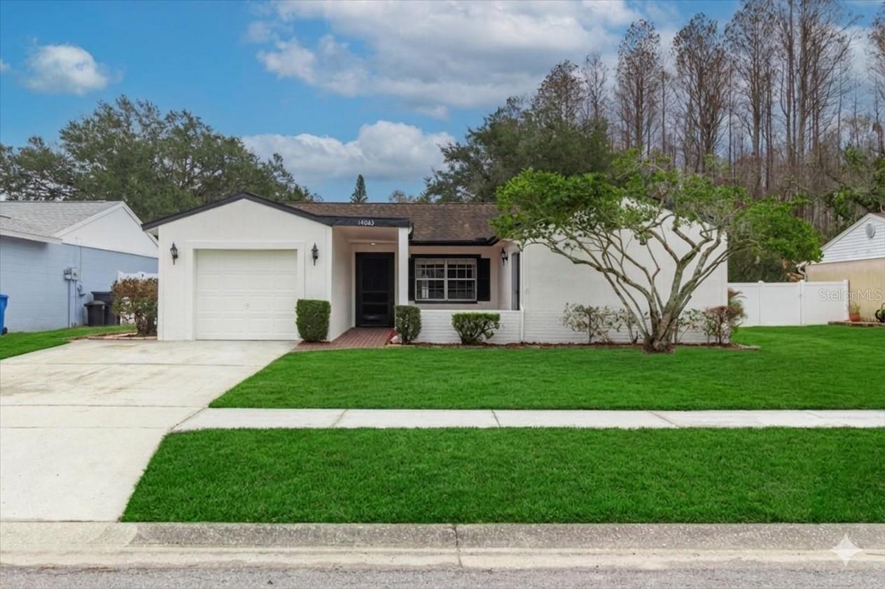 14003 Basin Street, FL