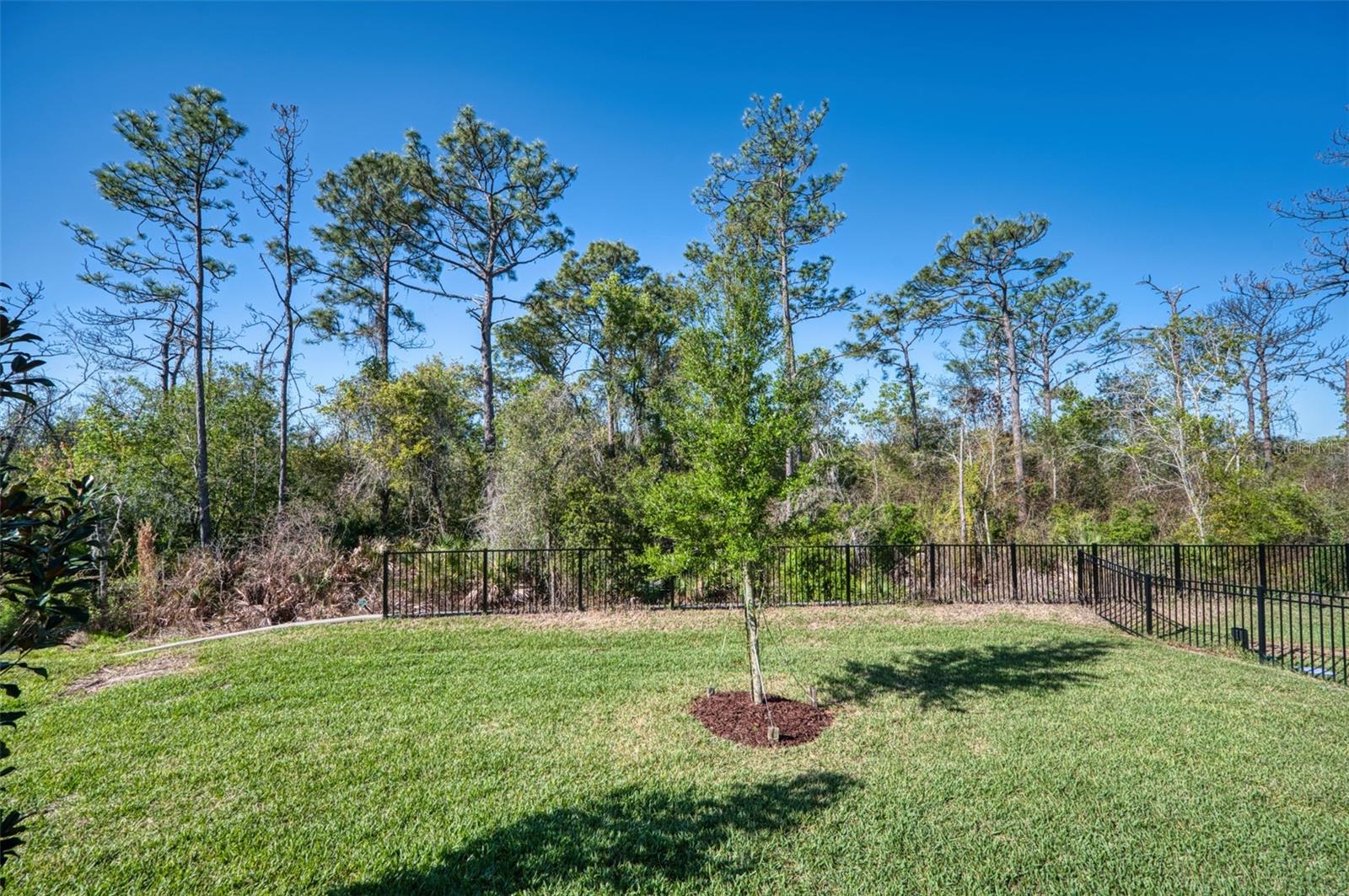 13941 Lilac Sky Terrace, FL