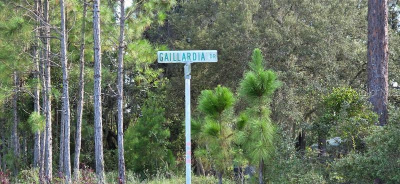 Gallardia Drive, FL
