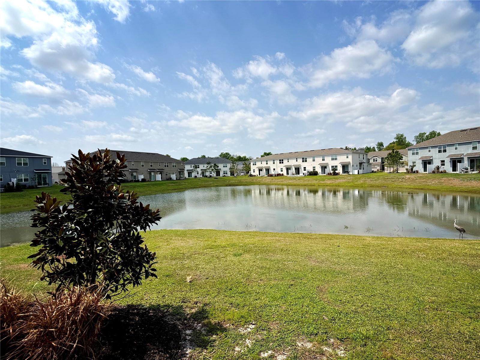 771 Spring Palms Loop, FL