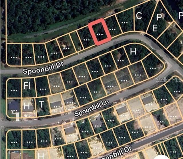 274 Spoonbill Drive, FL
