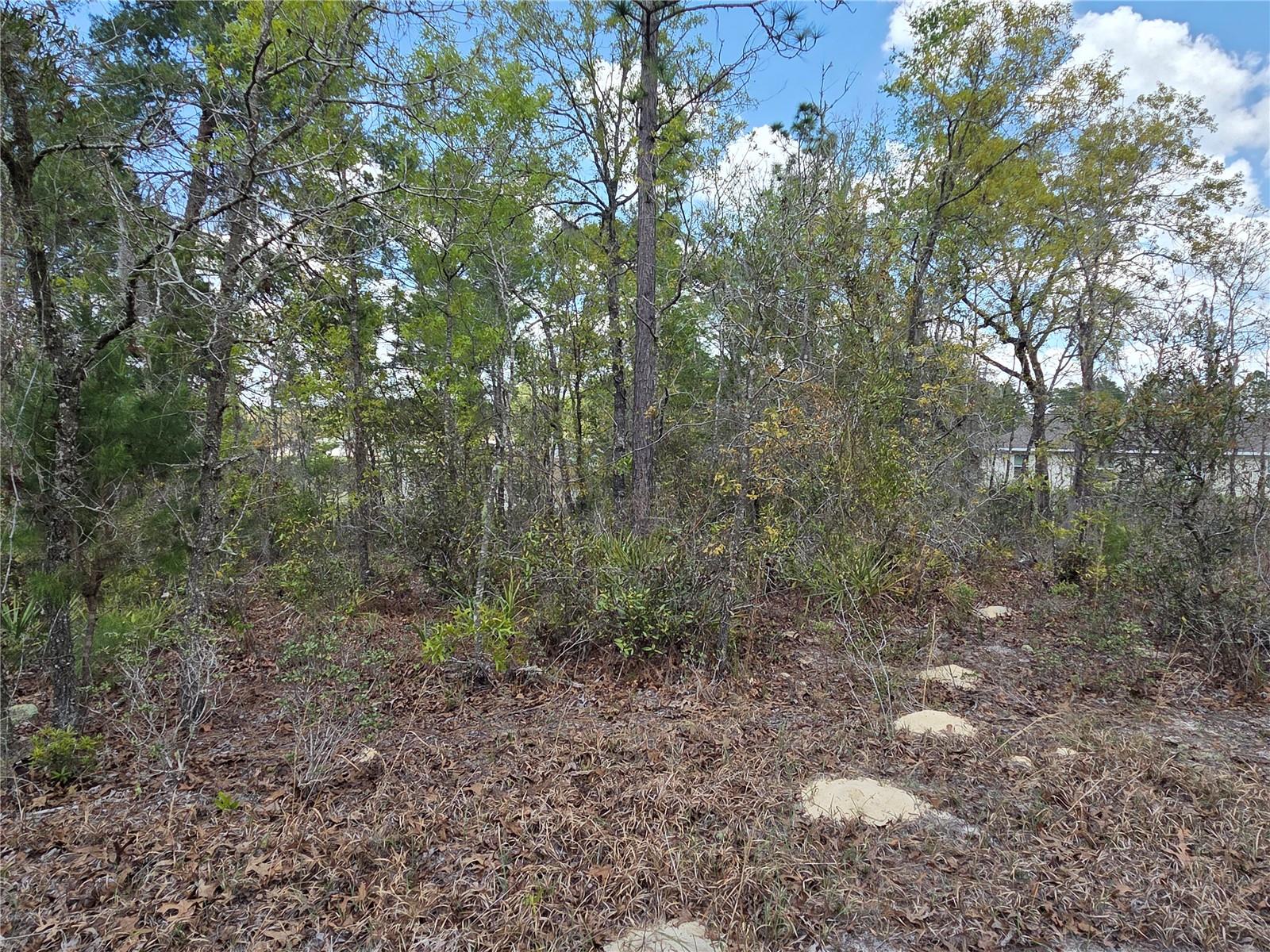 139th Place Road, FL