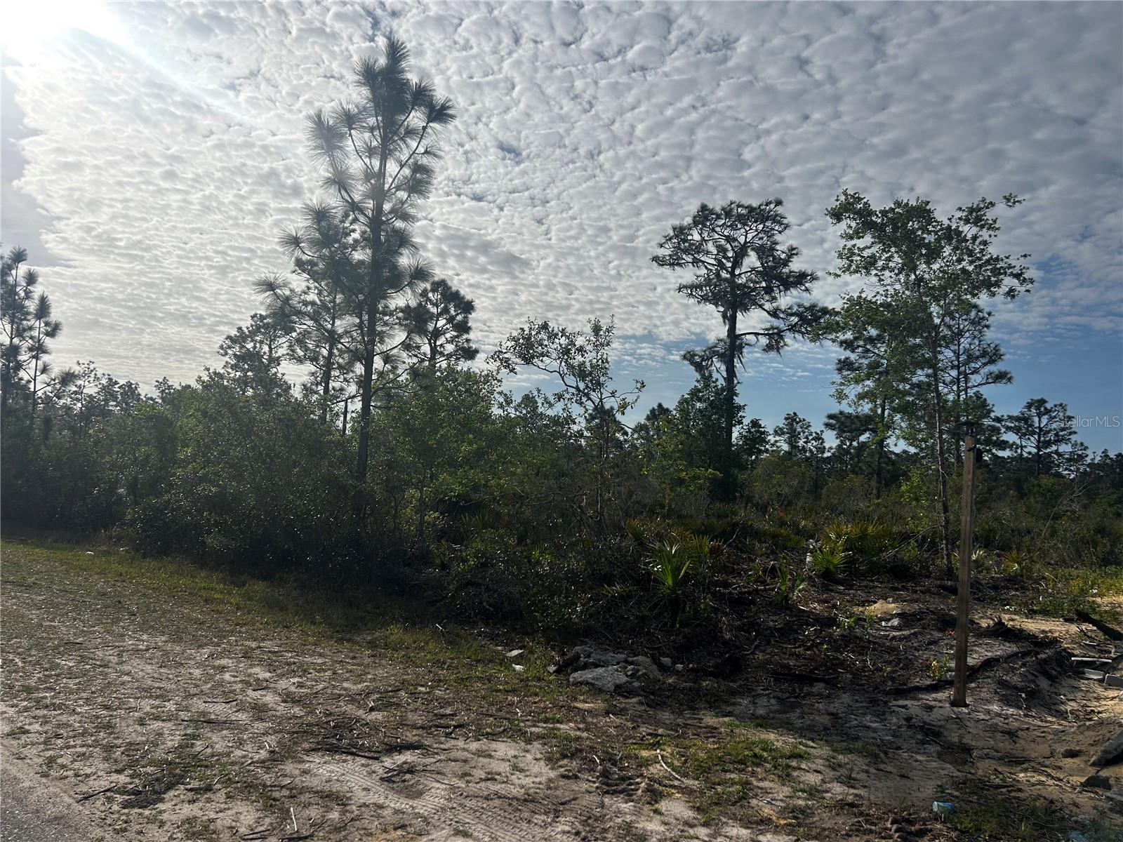 618 Poinciana Drive, FL