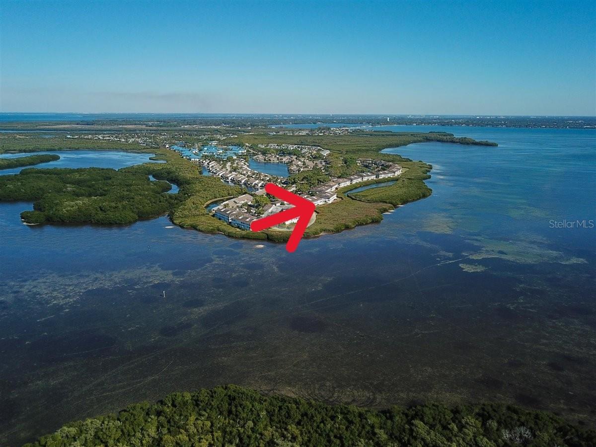 1323 Perico Point Circle, FL